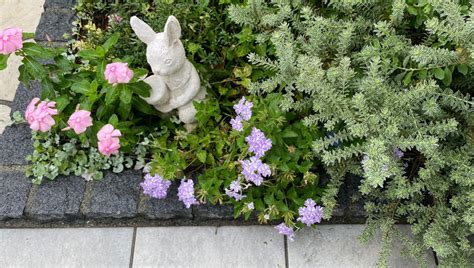 花品種名|植物名から探す（花の名前から調べる）